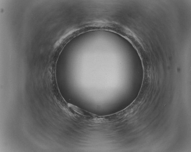 X0000087741304200705211002