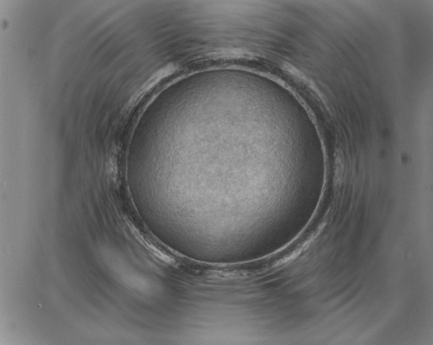 X0000087741305200705211002