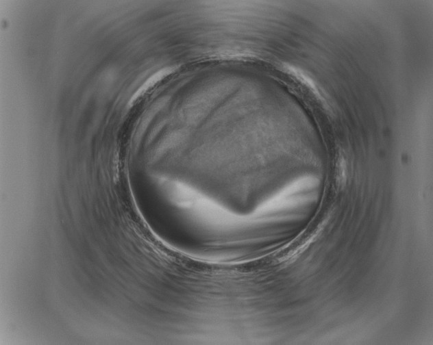 X0000087741306200705211002