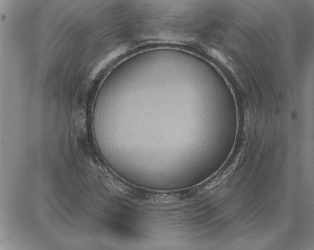 X0000087741307200705211002