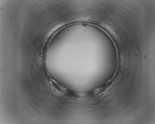 X0000087741308200705211002