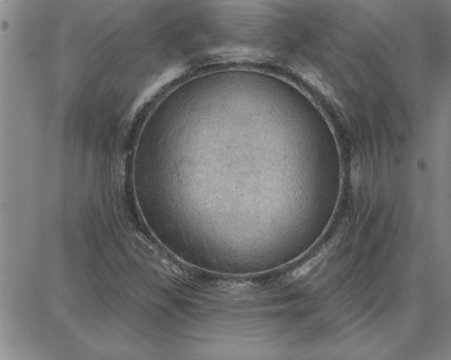 X0000087741309200705211002