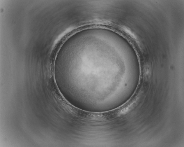 X0000087741310200705211002