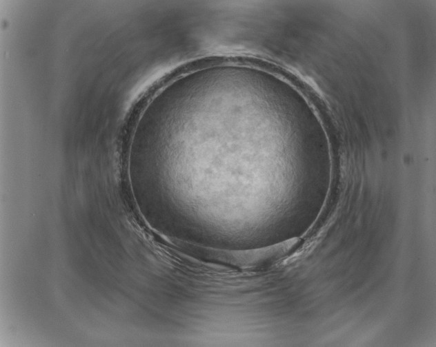 X0000087741311200705211002