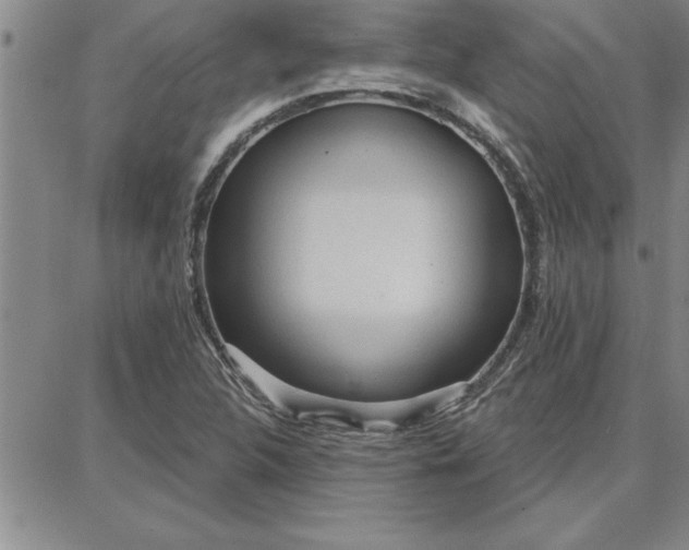 X0000087741312200705211002