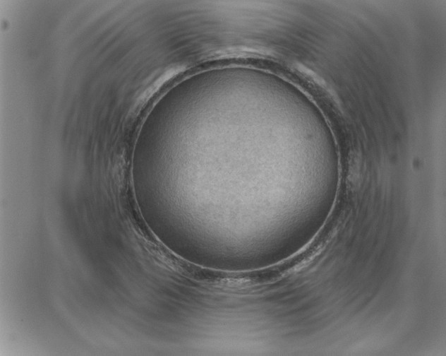 X0000087741313200705211002