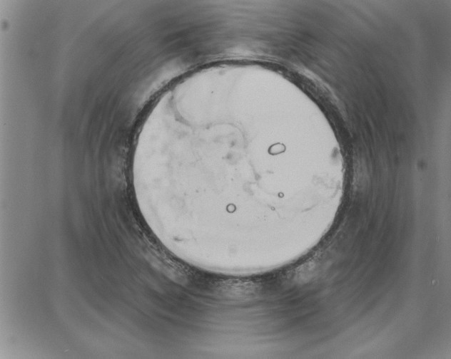 X0000087741314200705211002