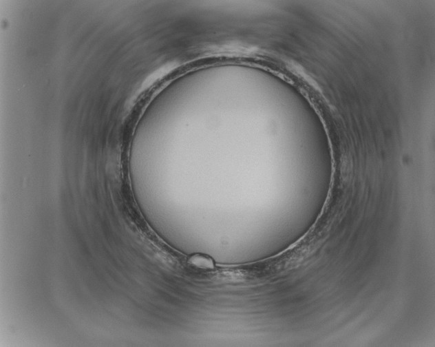 X0000087741315200705211002