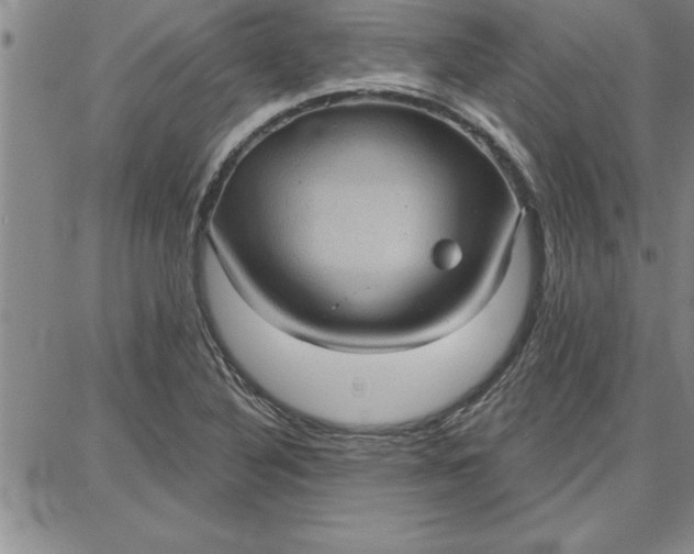 X0000087741316200705211002