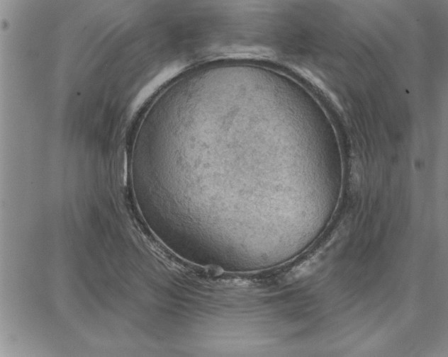 X0000087741317200705211002