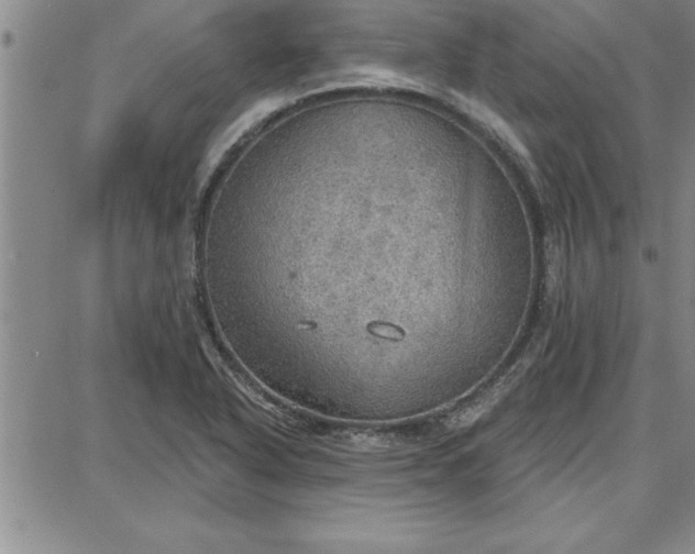 X0000087741318200705211002