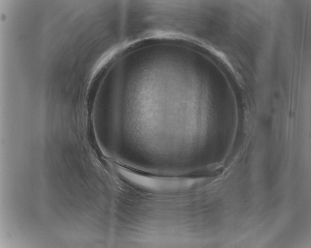 X0000087741319200705211002