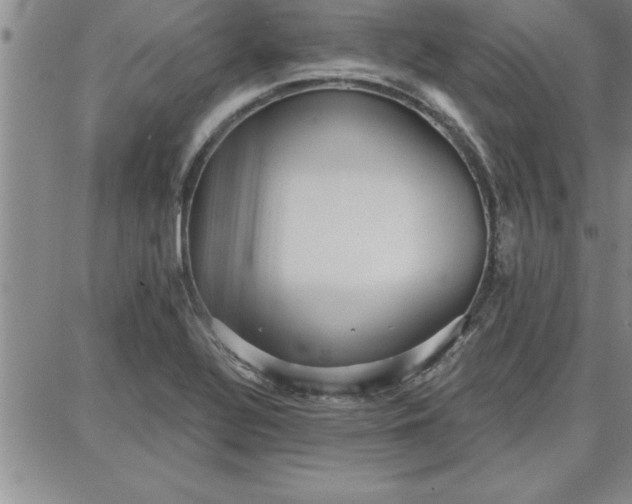 X0000087741320200705211002