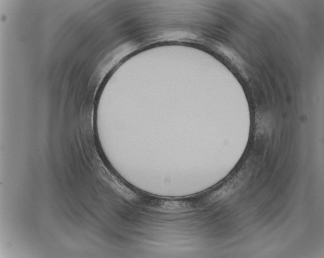 X0000087741322200705211002