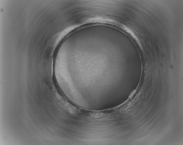 X0000087741323200705211002