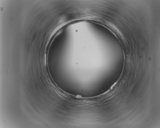 X0000087741324200705211002