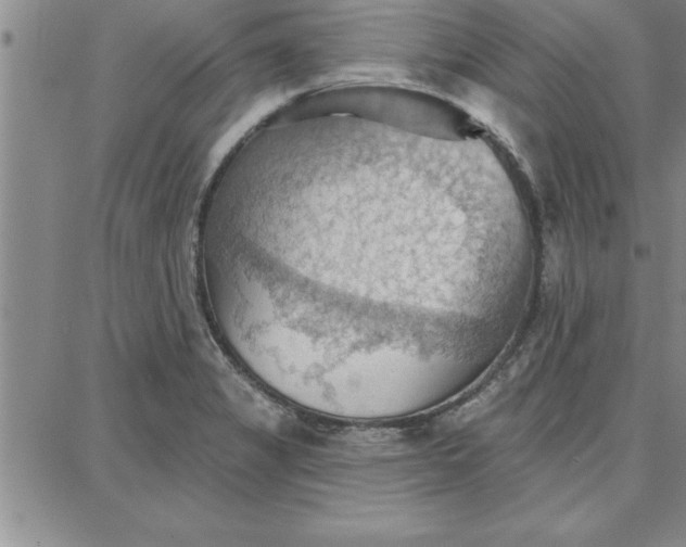 X0000087741325200705211002