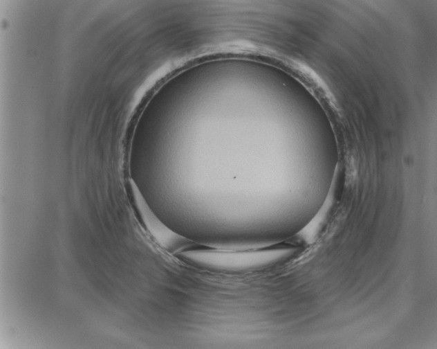 X0000087741326200705211002