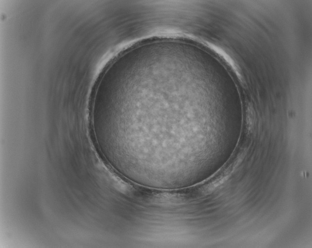 X0000087741327200705211002