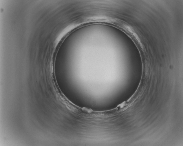 X0000087741328200705211002