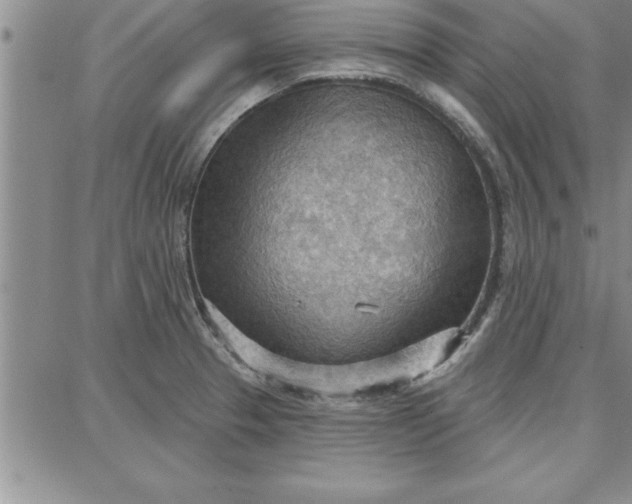 X0000087741329200705211003