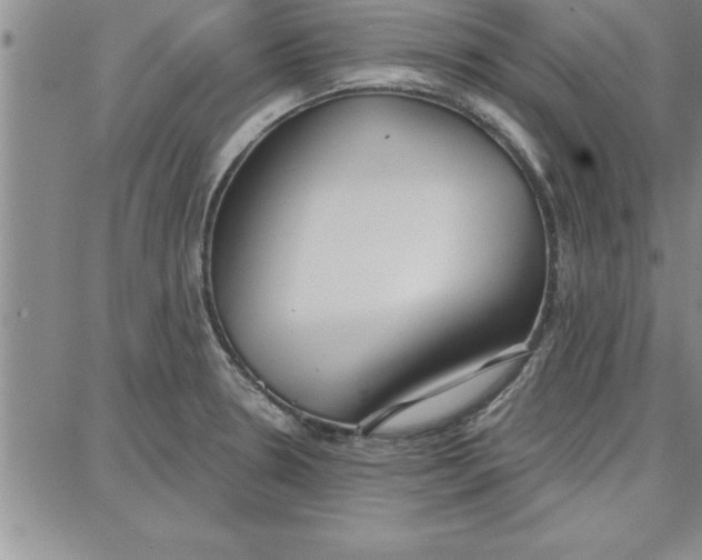 X0000087741330200705211003