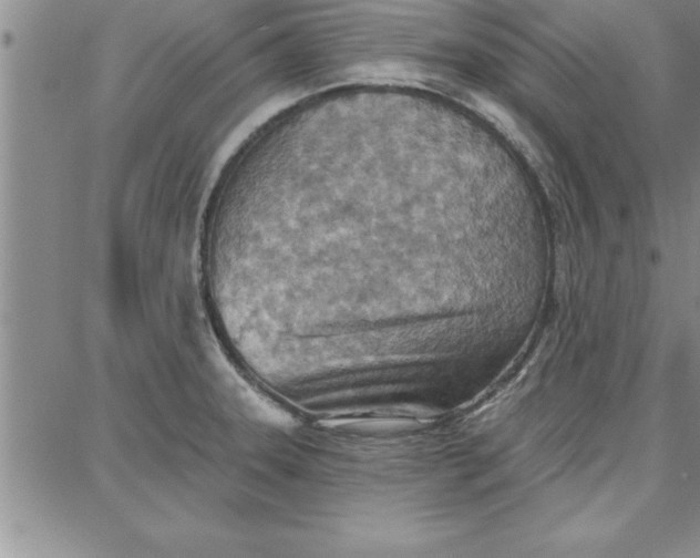 X0000087741331200705211003