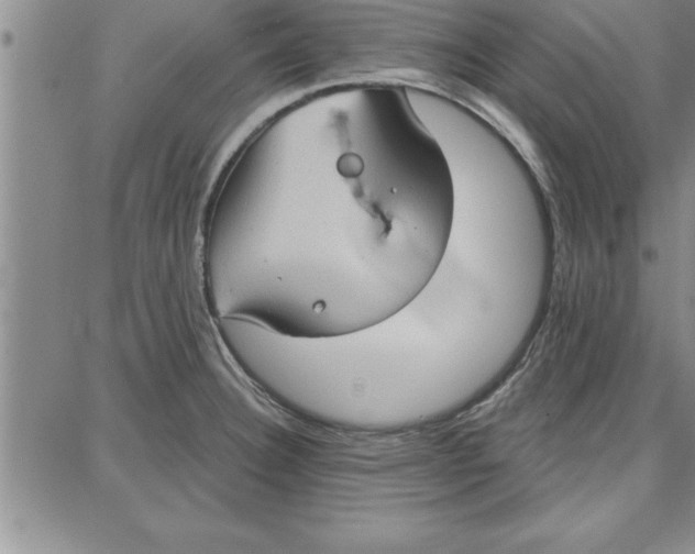 X0000087741332200705211003