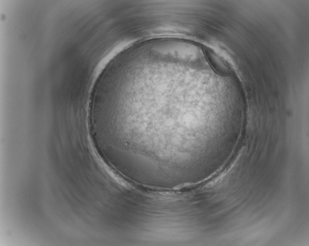 X0000087741333200705211003