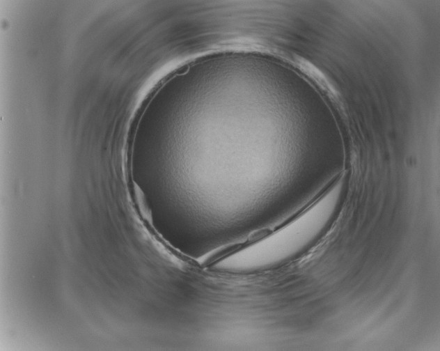 X0000087741334200705211003