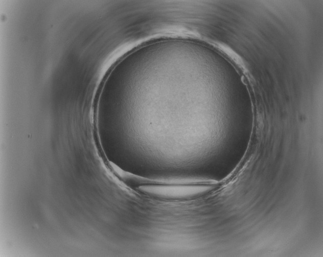 X0000087741335200705211003