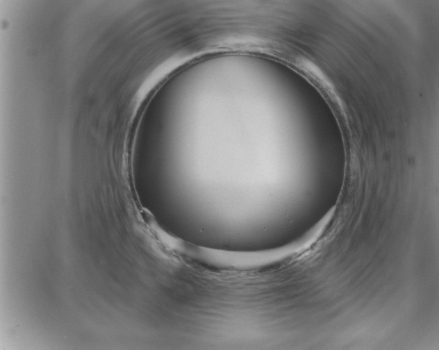 X0000087741336200705211003