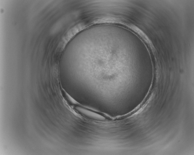 X0000087741337200705211003