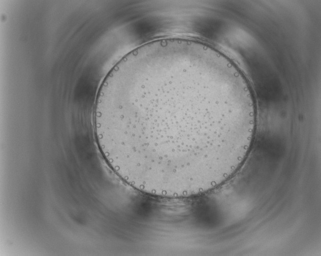 X0000087741338200705211003