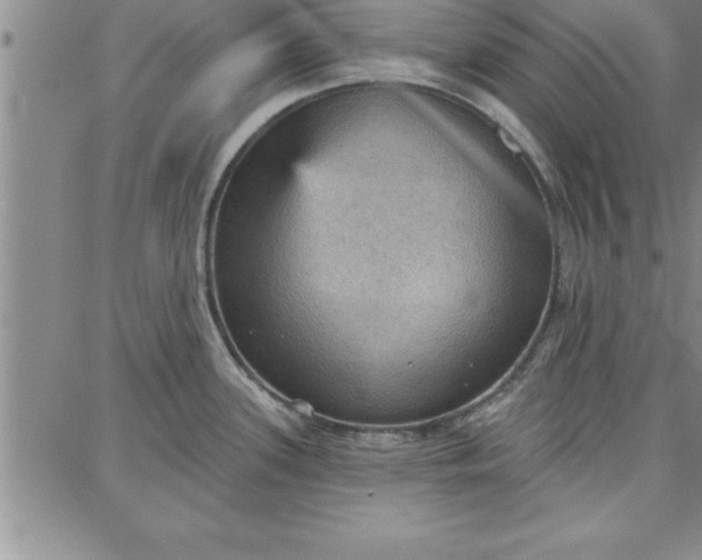 X0000087741339200705211003