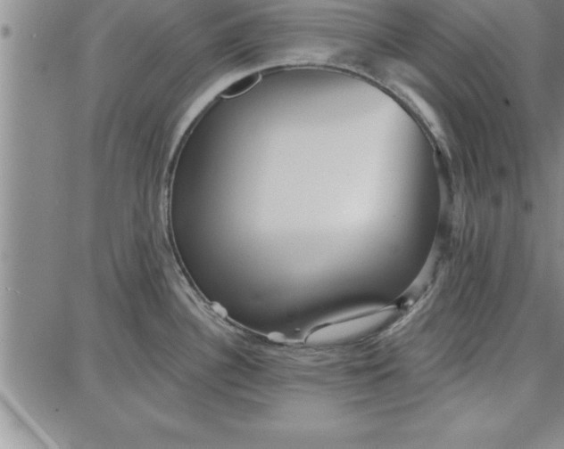 X0000087741340200705211003