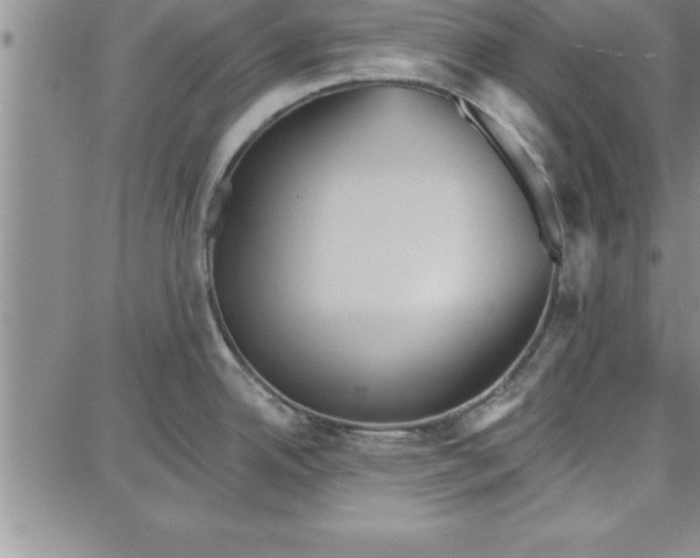 X0000087741342200705211003