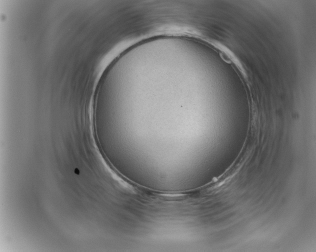 X0000087741343200705211003