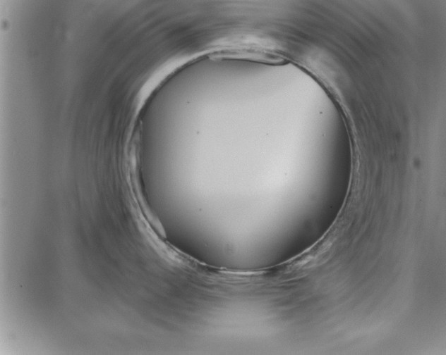 X0000087741344200705211003