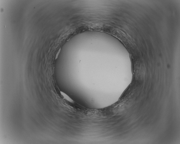 X0000087741345200705211002