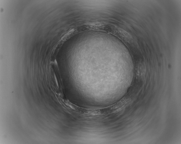 X0000087741346200705211002