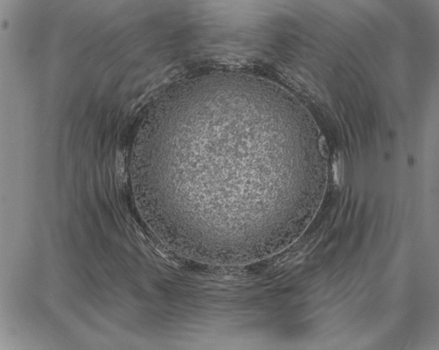 X0000087741347200705211002