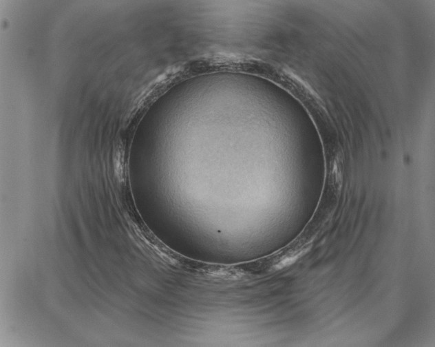 X0000087741348200705211002