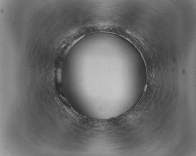 X0000087741349200705211002