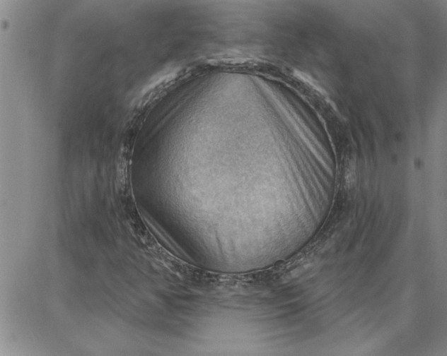 X0000087741350200705211002