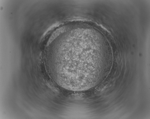 X0000087741351200705211002