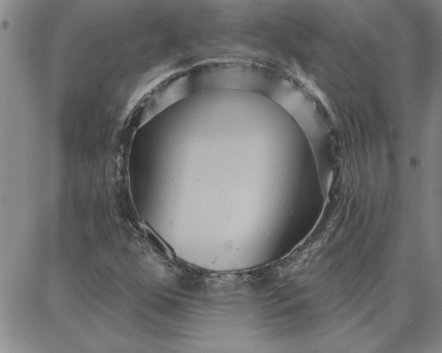 X0000087741352200705211002