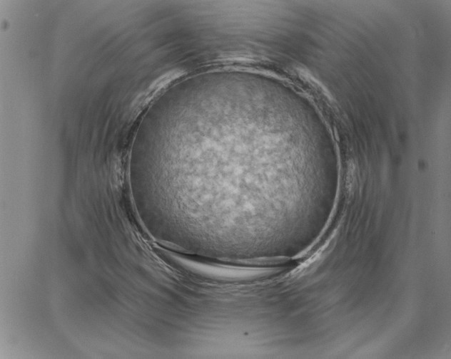 X0000087741353200705211002