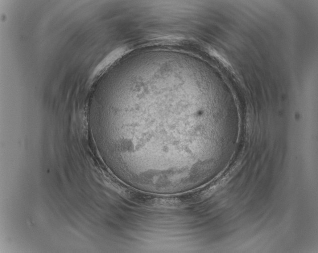 X0000087741354200705211002