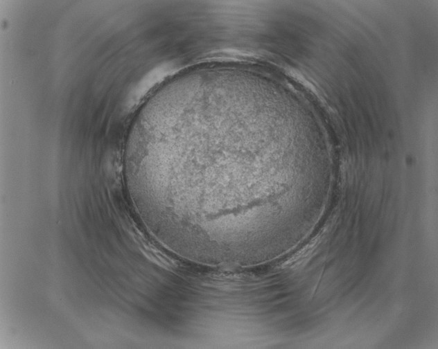 X0000087741355200705211002